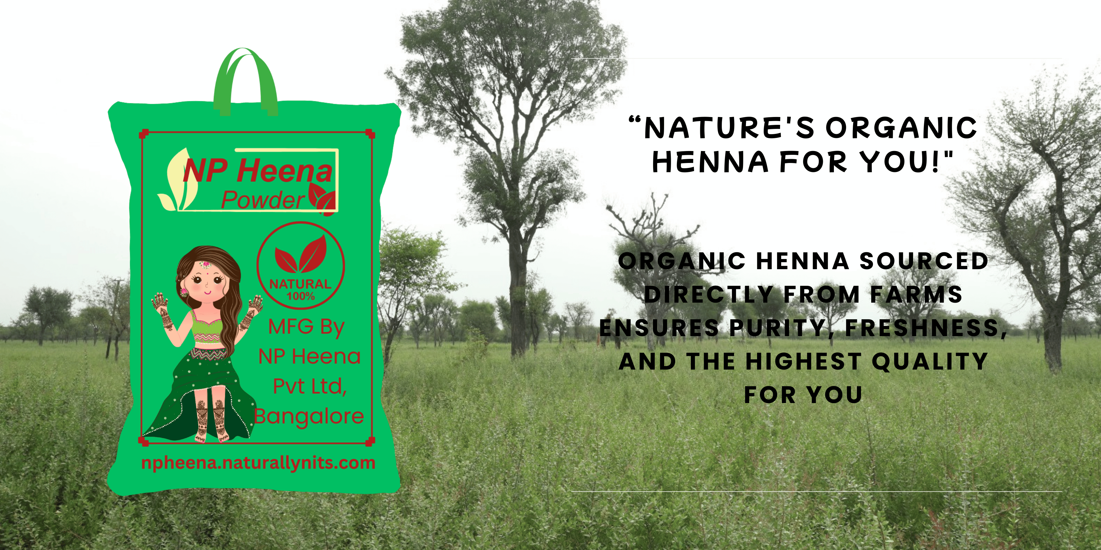 np heena
